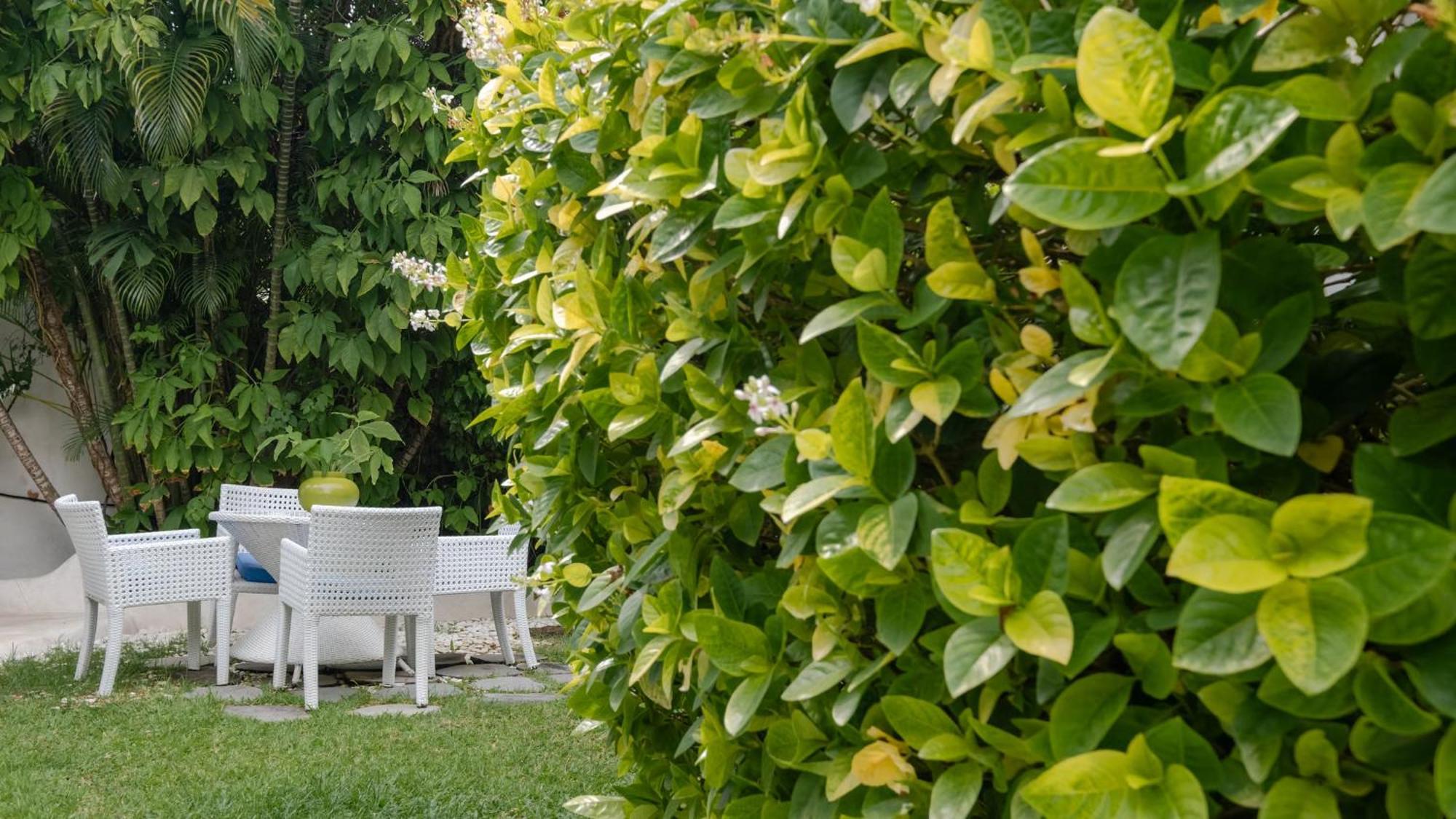 Oberoi Luxury - In Heart Villa